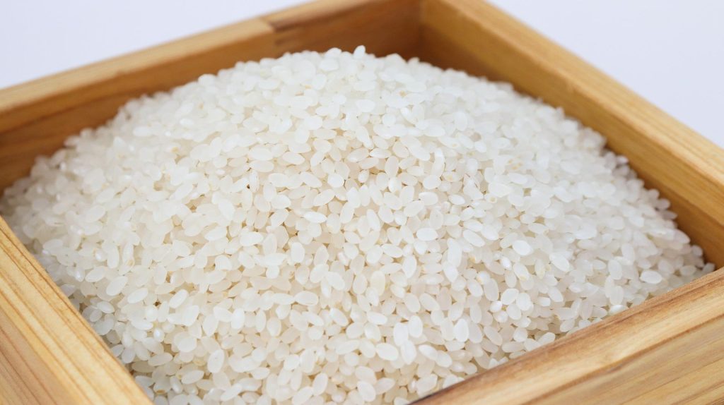 riz plastique