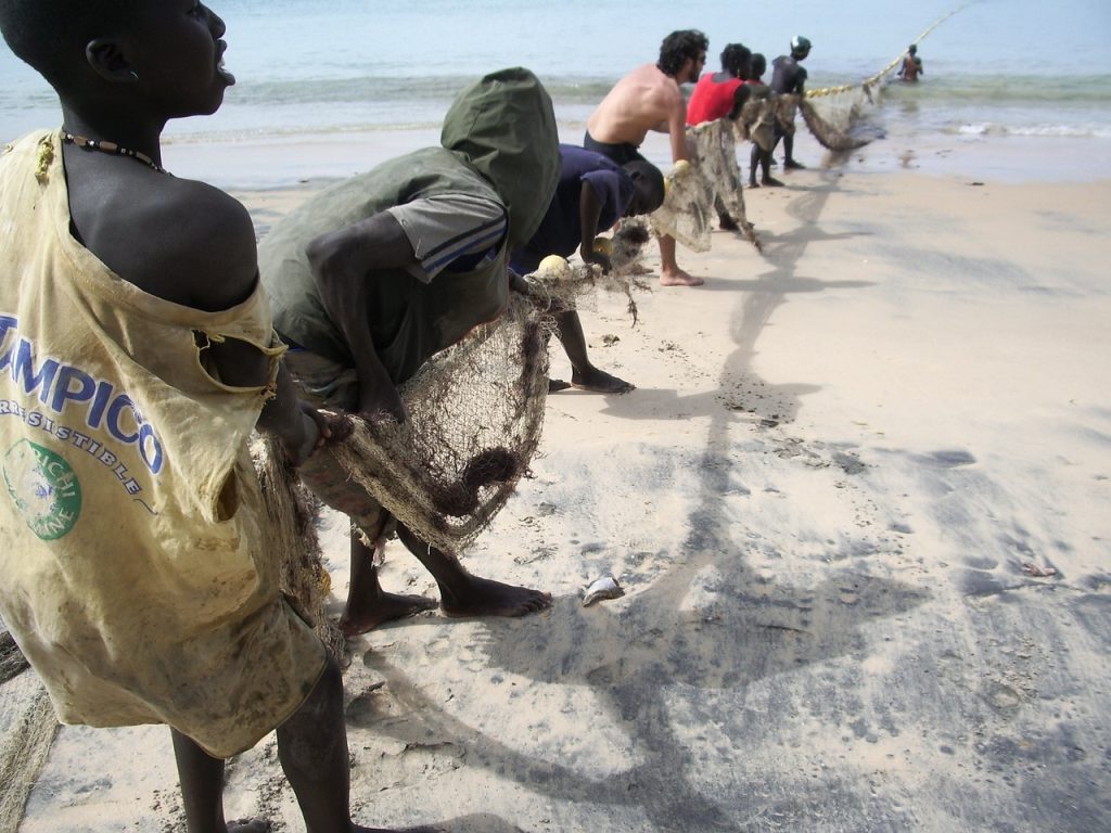démocratie sénégalaise